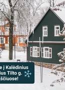 Christmas activities in Tillto st. in the complex