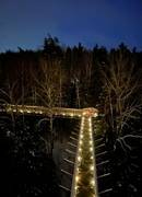 A day of light on the Treetop Trail