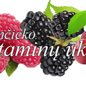 National Berry Day at Vitamin Farm